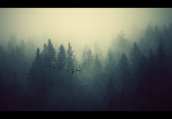 Время палачей