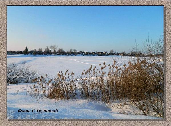 Год Лошадки