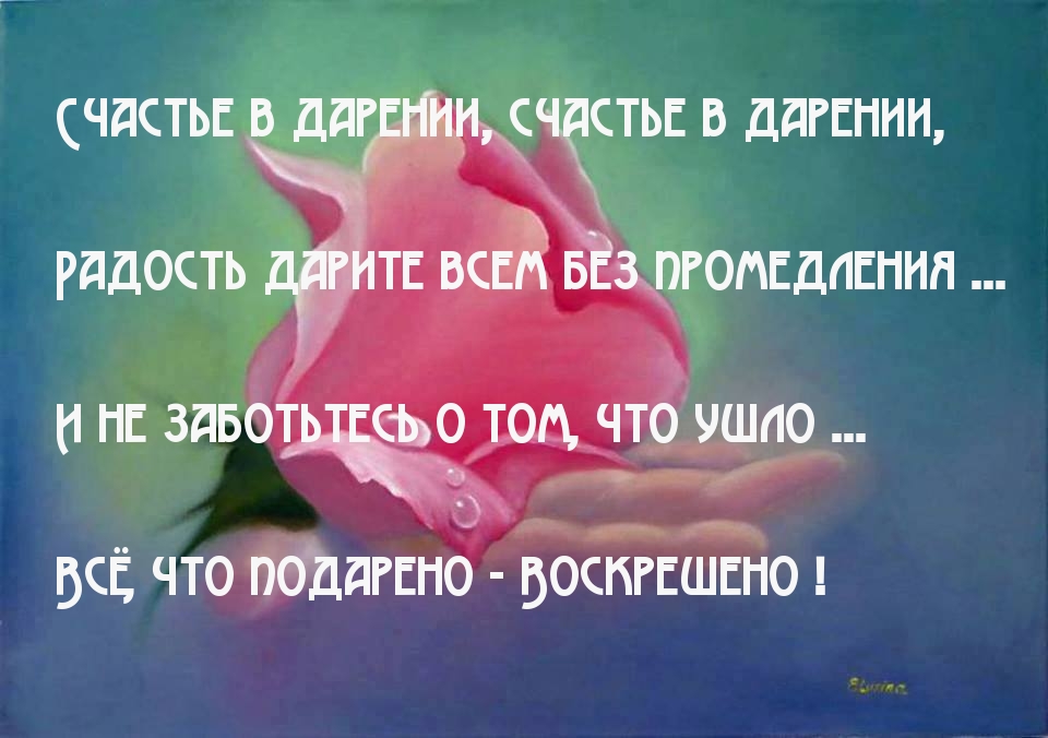 подарок девушке. подарок женщине. цветы для дарения. дарим подарки. подарок сюрприз.