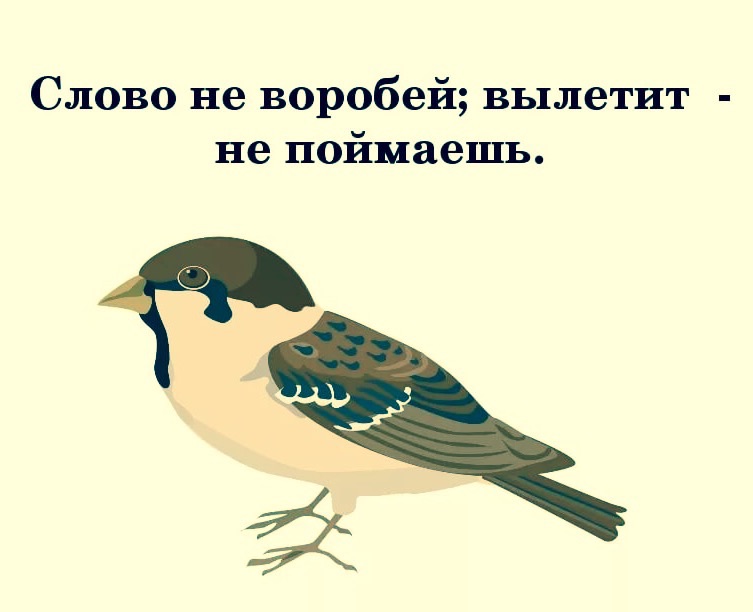 Слово ее воробей. Слово не Воробей вылетит не поймаешь. Пословица слово не Воробей. Слово не Воробей вылетит. Рисунок к пословице слово не Воробей вылетит не поймаешь.