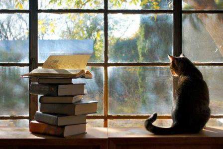 Чудеса случаются...