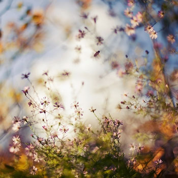 Весенний день