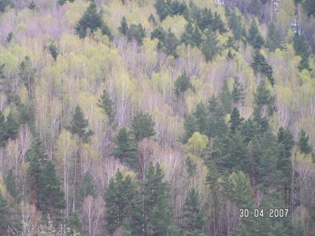 Все остальное лишь короста