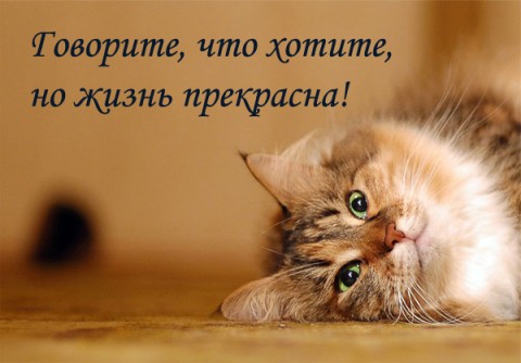 Такое время