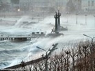 Норд-ост Видео