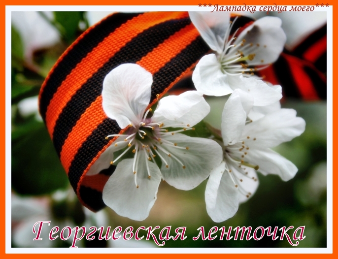 Георгиевская ленточка