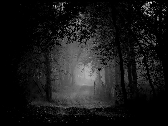 Притяжение ночи