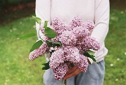 самое светлое в мире