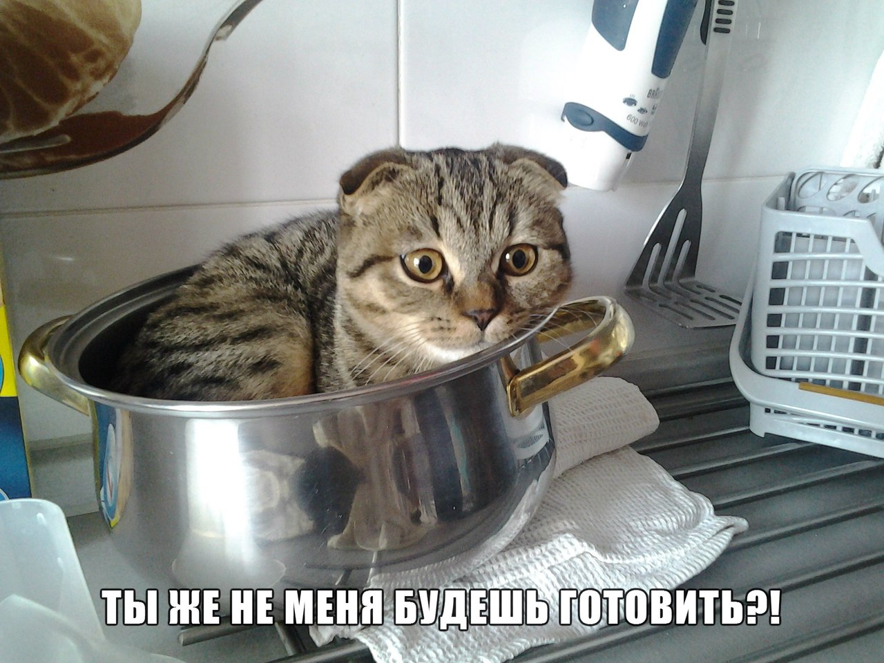 Вылезай! Кому говорю?