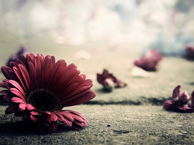 сЛожный Выбор