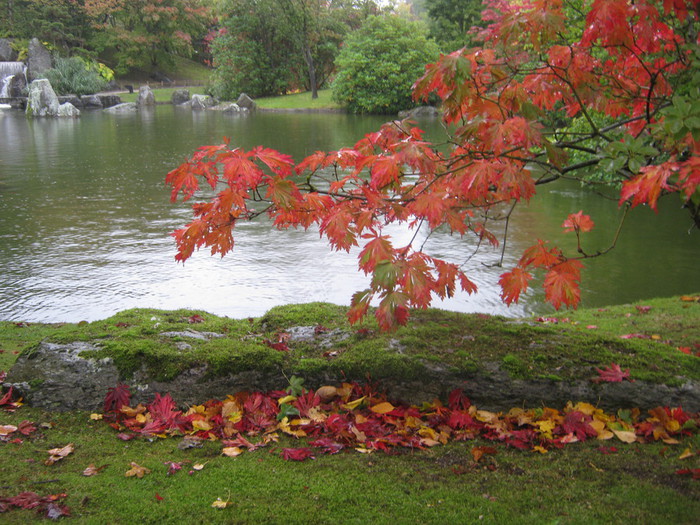 Аме но Нива