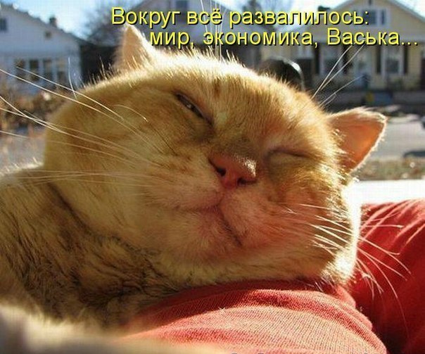 Васька от политики далёк...