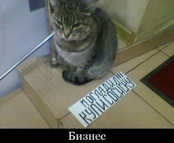 Вымогатель в доме есть у меня...