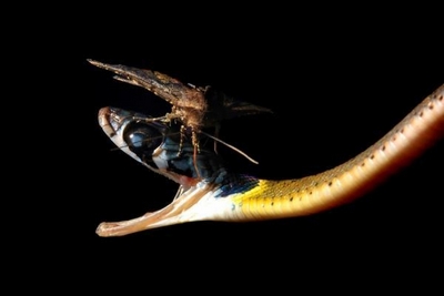 Притча о ненависти