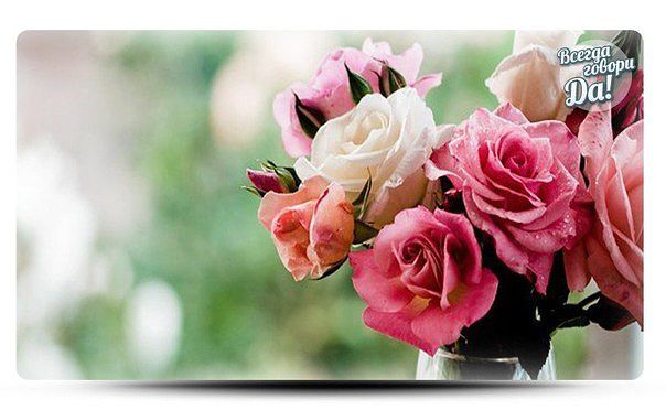 У что, мой друг, давай поговорим...