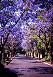 Новости с Украины в Израиле