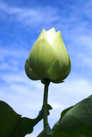 В ожидании Солнца...