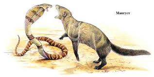 Хорошо бы, хорошо...