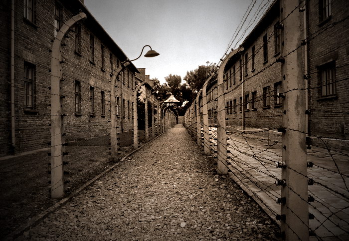 Концлагеря