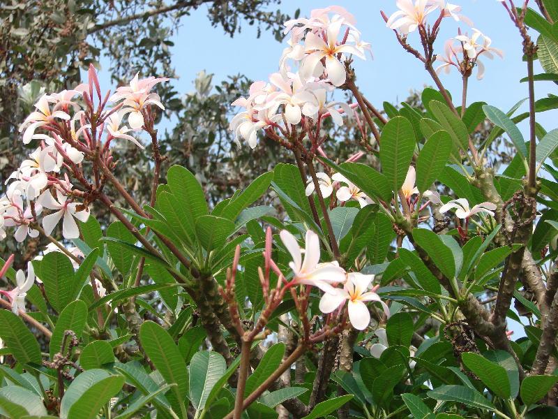 Я не люблю, когда ты плачешь!