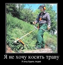 Садовое садо