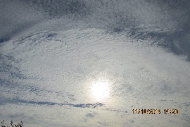 Песнь Любви