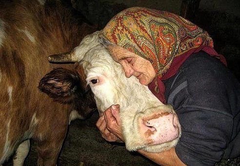 Ирония на молоко Домик в деревне