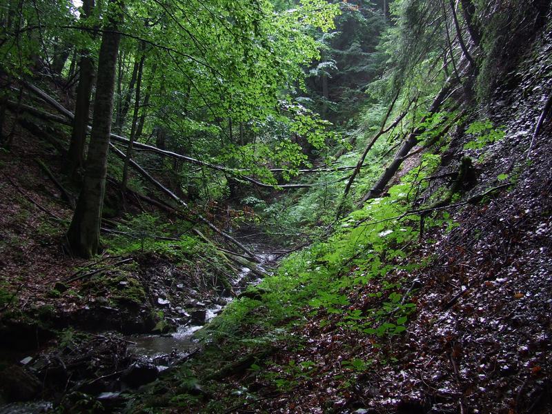 Картина на холсте 60x110 Альянс Лес "Природа Деревья Тропинка Лес" на подрамнике