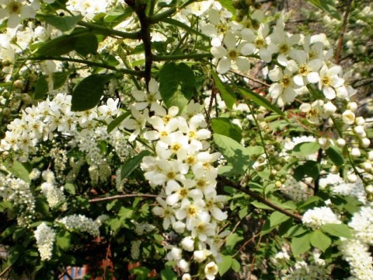 Не отпусти...