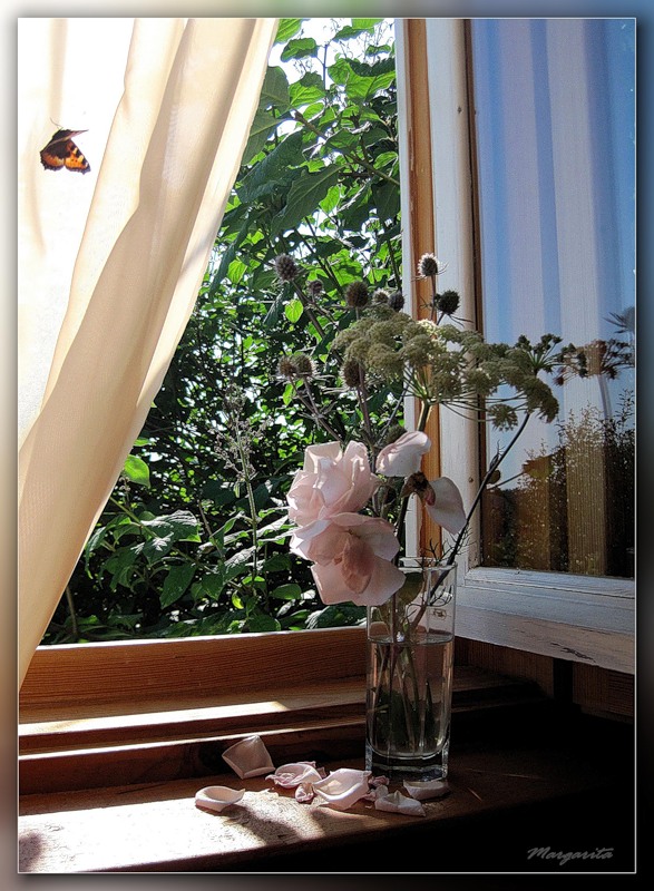 Стучит подоконник. Цветы на окне. Окно с цветами на подоконнике. Открытое окно.