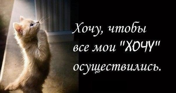 Наши хочу, не приносят пользы никакой...