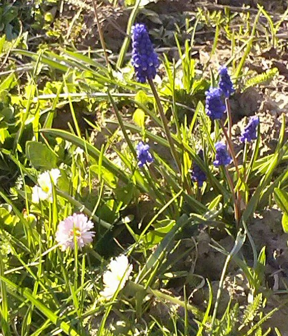 Начало лета