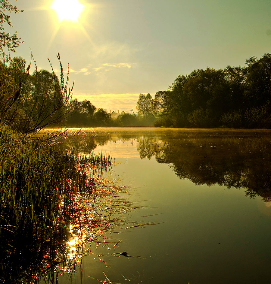 Край родной