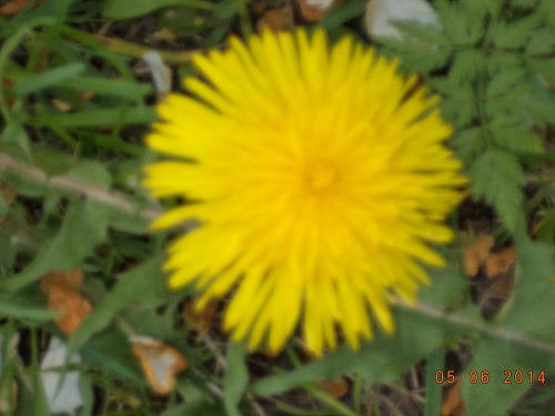 Добрый день вам, товарищи!