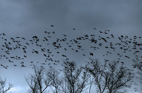Не договорено осталось, не досказано...