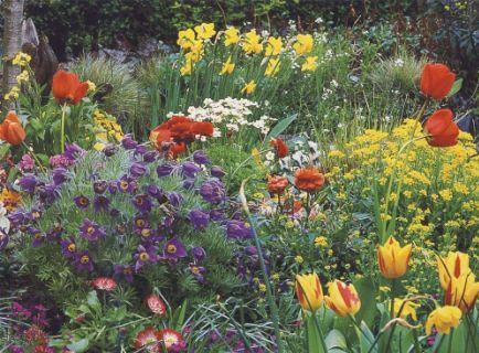 Мой парадиз