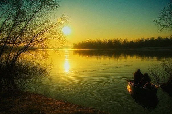 Маэстро, что же Вы печальны?