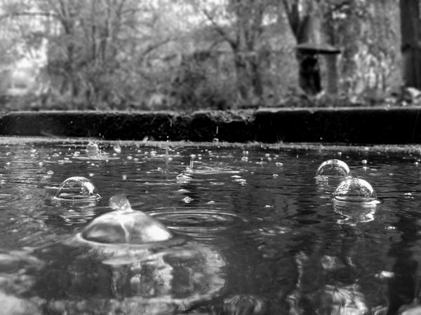 Дождя и лужи поцелуй