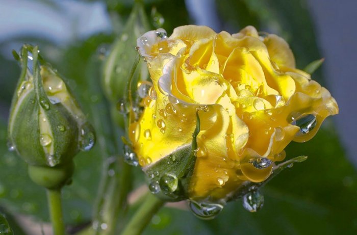 Явный аргумент