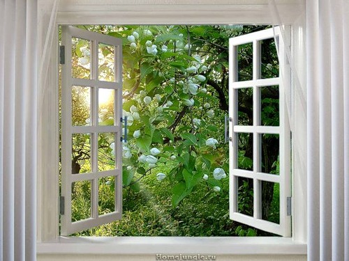 Утро первого летнего дня...