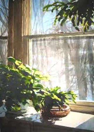 Это уже не примета