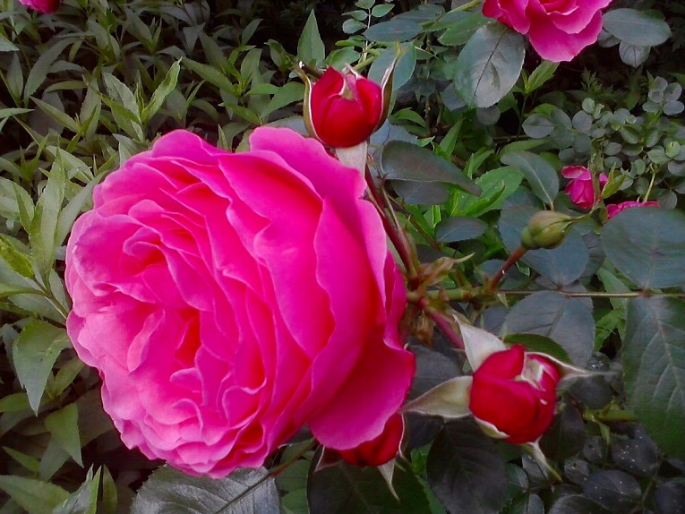 Мы повстречались