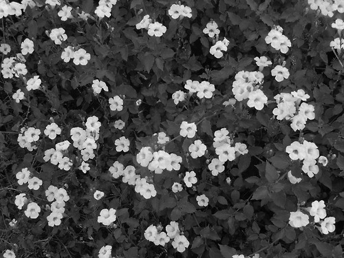 384-й. Прихожу на твою могилу...