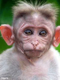 Мечты народа и явь