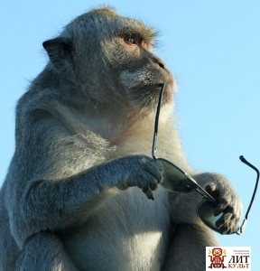 Басня. Обезьяна из-за океана..