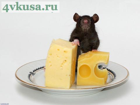 О вреде дыр