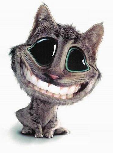 Подборка высказываний и афоризмов