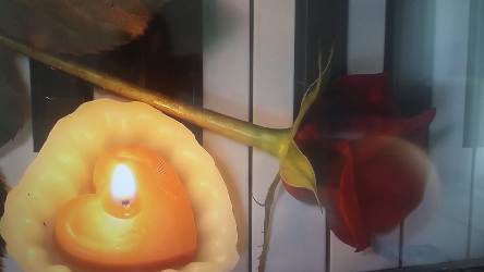 И все же есть любовь