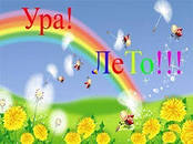 Один летний день