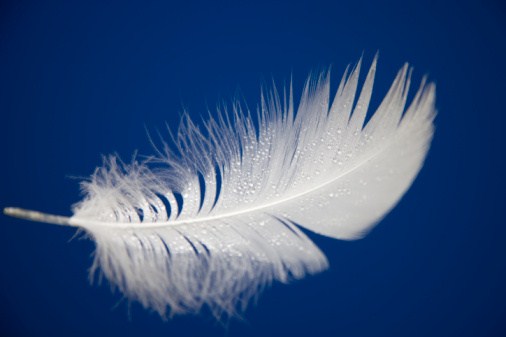 Поэзия - моя стихия